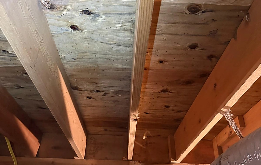 crawl-space-cleanout